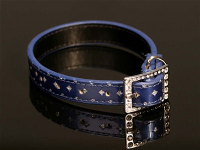 Blue Glitter Dog Collar-Bloomingtails Dog Boutique