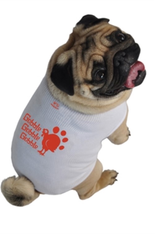 buy dog christmas sweater Dog Christmas Sweater with Scarf | Dog Apparel Stores