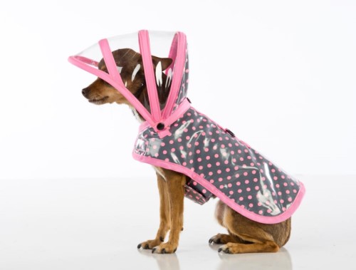 Dog Raincoat-Bloomingtails Dog Boutique