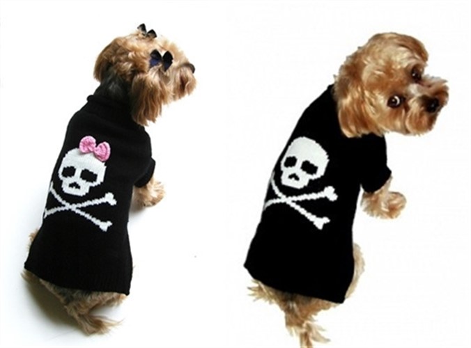 Jolly Roger Dog Sweater With Pink Bow Bloomingtails Dog Boutique