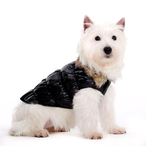 Ruched Dog Jacket - Reversible & Water Resistant - Brown, Pink or Black