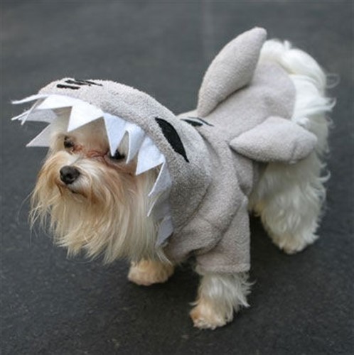 Shark Fins Pajama Pal Dog Costume