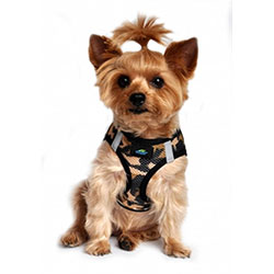 small dog harnesses