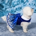 Holiday Snowflakes Harness Dress w/Leash  - dd-snowflakes-dress