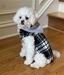 NEW Weekender Dog Sweatshirt - Black and White Plaid - dd-black weekender