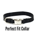 Susan Lanci 4 Row Perfect Fit Gilmore Collar in Many Colors  - sl-gilt4rowperfect