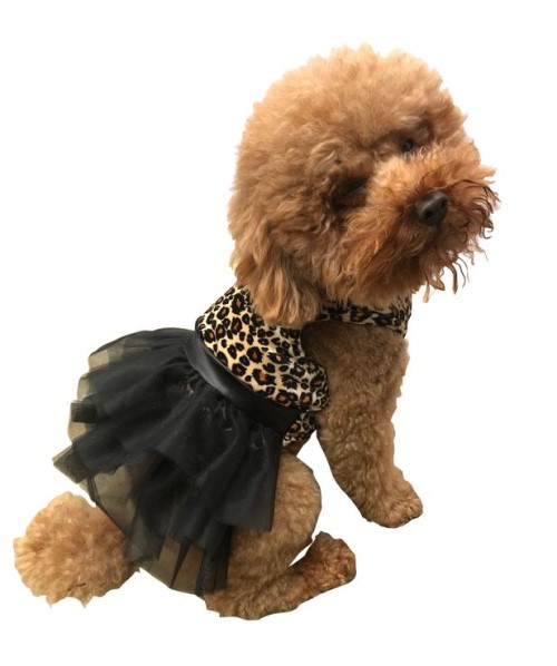 Fashion Chic Dog Brown Tutu Dress