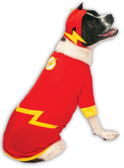 Authentic Flash Costume  Roxy & Lulu, wooflink, susan lanci, dog clothes, small dog clothes, urban pup, pooch outfitters, dogo, hip doggie, doggie design, small dog dress, pet clotes, dog boutique. pet boutique, bloomingtails dog boutique, dog raincoat, dog rain coat, pet raincoat, dog shampoo, pet shampoo, dog bathrobe, pet bathrobe, dog carrier, small dog carrier, doggie couture, pet couture, dog football, dog toys, pet toys, dog clothes sale, pet clothes sale, shop local, pet store, dog store, dog chews, pet chews, worthy dog, dog bandana, pet bandana, dog halloween, pet halloween, dog holiday, pet holiday, dog teepee, custom dog clothes, pet pjs, dog pjs, pet pajamas, dog pajamas,dog sweater, pet sweater, dog hat, fabdog, fab dog, dog puffer coat, dog winter ja