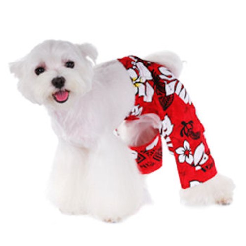 Bermuda Beach Pants kosher, hanukkah, toy, jewish, toy, puppy bed,  beds,dog mat, pet mat, puppy mat, fab dog pet sweater, dog swepet clothes, dog clothes, puppy clothes, pet store, dog store, puppy boutique store, dog boutique, pet boutique, puppy boutique, Bloomingtails, dog, small dog clothes, large dog clothes, large dog costumes, small dog costumes, pet stuff, Halloween dog, puppy Halloween, pet Halloween, clothes, dog puppy Halloween, dog sale, pet sale, puppy sale, pet dog tank, pet tank, pet shirt, dog shirt, puppy shirt,puppy tank, I see spot, dog collars, dog leads, pet collar, pet lead,puppy collar, puppy lead, dog toys, pet toys, puppy toy, dog beds, pet beds, puppy bed,  beds,dog mat, pet mat, puppy mat, fab dog pet sweater, dog sweater, dog winte