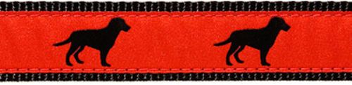 Black Lab Collar, Lead & Harness 1.25 inch  wooflink, susan lanci, dog clothes, small dog clothes, urban pup, pooch outfitters, dogo, hip doggie, doggie design, small dog dress, pet clotes, dog boutique. pet boutique, bloomingtails dog boutique, dog raincoat, dog rain coat, pet raincoat, dog shampoo, pet shampoo, dog bathrobe, pet bathrobe, dog carrier, small dog carrier, doggie couture, pet couture, dog football, dog toys, pet toys, dog clothes sale, pet clothes sale, shop local, pet store, dog store, dog chews, pet chews, worthy dog, dog bandana, pet bandana, dog halloween, pet halloween, dog holiday, pet holiday, dog teepee, custom dog clothes, pet pjs, dog pjs, pet pajamas, dog pajamas,dog sweater, pet sweater, dog hat, fabdog, fab dog, dog puffer coat, dog winter jacket, dog col