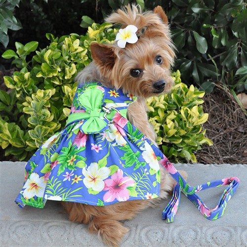 Blue Lagoon Hawaiian Hibiscus Dress with D-Ring and Matching Leash   wooflink, susan lanci, dog clothes, small dog clothes, urban pup, pooch outfitters, dogo, hip doggie, doggie design, small dog dress, pet clotes, dog boutique. pet boutique, bloomingtails dog boutique, dog raincoat, dog rain coat, pet raincoat, dog shampoo, pet shampoo, dog bathrobe, pet bathrobe, dog carrier, small dog carrier, doggie couture, pet couture, dog football, dog toys, pet toys, dog clothes sale, pet clothes sale, shop local, pet store, dog store, dog chews, pet chews, worthy dog, dog bandana, pet bandana, dog halloween, pet halloween, dog holiday, pet holiday, dog teepee, custom dog clothes, pet pjs, dog pjs, pet pajamas, dog pajamas,dog sweater, pet sweater, dog hat, fabdog, fab dog, dog puffer coat, dog winter jacket, dog col