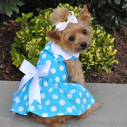 Blue Polka Dog Dress with Matching Leash   wooflink, susan lanci, dog clothes, small dog clothes, urban pup, pooch outfitters, dogo, hip doggie, doggie design, small dog dress, pet clotes, dog boutique. pet boutique, bloomingtails dog boutique, dog raincoat, dog rain coat, pet raincoat, dog shampoo, pet shampoo, dog bathrobe, pet bathrobe, dog carrier, small dog carrier, doggie couture, pet couture, dog football, dog toys, pet toys, dog clothes sale, pet clothes sale, shop local, pet store, dog store, dog chews, pet chews, worthy dog, dog bandana, pet bandana, dog halloween, pet halloween, dog holiday, pet holiday, dog teepee, custom dog clothes, pet pjs, dog pjs, pet pajamas, dog pajamas,dog sweater, pet sweater, dog hat, fabdog, fab dog, dog puffer coat, dog winter jacket, dog col