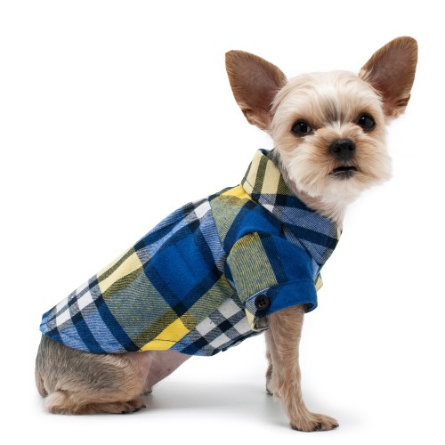 Flannel Shirt in Blue & Yellow Roxy & Lulu, wooflink, susan lanci, dog clothes, small dog clothes, urban pup, pooch outfitters, dogo, hip doggie, doggie design, small dog dress, pet clotes, dog boutique. pet boutique, bloomingtails dog boutique, dog raincoat, dog rain coat, pet raincoat, dog shampoo, pet shampoo, dog bathrobe, pet bathrobe, dog carrier, small dog carrier, doggie couture, pet couture, dog football, dog toys, pet toys, dog clothes sale, pet clothes sale, shop local, pet store, dog store, dog chews, pet chews, worthy dog, dog bandana, pet bandana, dog halloween, pet halloween, dog holiday, pet holiday, dog teepee, custom dog clothes, pet pjs, dog pjs, pet pajamas, dog pajamas,dog sweater, pet sweater, dog hat, fabdog, fab dog, dog puffer coat, dog winter ja