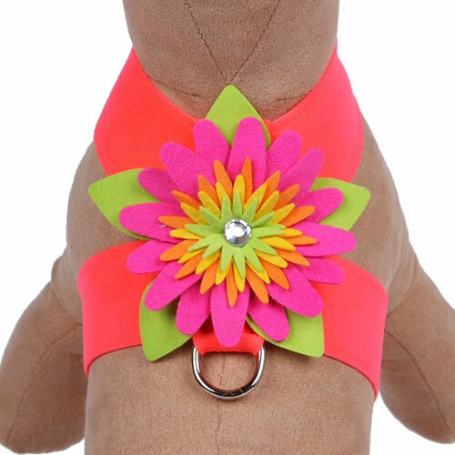 Island Flower Tinkie Harness in Many Colors wooflink, susan lanci, dog clothes, small dog clothes, urban pup, pooch outfitters, dogo, hip doggie, doggie design, small dog dress, pet clotes, dog boutique. pet boutique, bloomingtails dog boutique, dog raincoat, dog rain coat, pet raincoat, dog shampoo, pet shampoo, dog bathrobe, pet bathrobe, dog carrier, small dog carrier, doggie couture, pet couture, dog football, dog toys, pet toys, dog clothes sale, pet clothes sale, shop local, pet store, dog store, dog chews, pet chews, worthy dog, dog bandana, pet bandana, dog halloween, pet halloween, dog holiday, pet holiday, dog teepee, custom dog clothes, pet pjs, dog pjs, pet pajamas, dog pajamas,dog sweater, pet sweater, dog hat, fabdog, fab dog, dog puffer coat, dog winter jacket, dog col