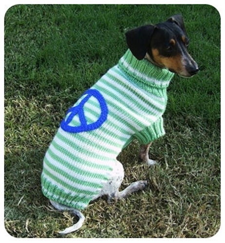 Paws for Peace puppy bed,  beds,dog mat, pet mat, puppy mat, fab dog pet sweater, dog swepet clothes, dog clothes, puppy clothes, pet store, dog store, puppy boutique store, dog boutique, pet boutique, puppy boutique, Bloomingtails, dog, small dog clothes, large dog clothes, large dog costumes, small dog costumes, pet stuff, Halloween dog, puppy Halloween, pet Halloween, clothes, dog puppy Halloween, dog sale, pet sale, puppy sale, pet dog tank, pet tank, pet shirt, dog shirt, puppy shirt,puppy tank, I see spot, dog collars, dog leads, pet collar, pet lead,puppy collar, puppy lead, dog toys, pet toys, puppy toy, dog beds, pet beds, puppy bed,  beds,dog mat, pet mat, puppy mat, fab dog pet sweater, dog sweater, dog winter, pet winter,dog raincoat, pet rain