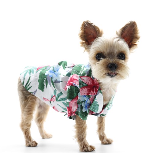 Tropical Island White Dog Shirt  Roxy & Lulu, wooflink, susan lanci, dog clothes, small dog clothes, urban pup, pooch outfitters, dogo, hip doggie, doggie design, small dog dress, pet clotes, dog boutique. pet boutique, bloomingtails dog boutique, dog raincoat, dog rain coat, pet raincoat, dog shampoo, pet shampoo, dog bathrobe, pet bathrobe, dog carrier, small dog carrier, doggie couture, pet couture, dog football, dog toys, pet toys, dog clothes sale, pet clothes sale, shop local, pet store, dog store, dog chews, pet chews, worthy dog, dog bandana, pet bandana, dog halloween, pet halloween, dog holiday, pet holiday, dog teepee, custom dog clothes, pet pjs, dog pjs, pet pajamas, dog pajamas,dog sweater, pet sweater, dog hat, fabdog, fab dog, dog puffer coat, dog winter ja