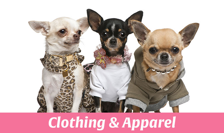 dog clothing and apparel