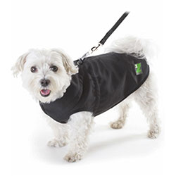 dog coats & jackets