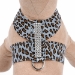 4 Row Giltmore Tinkie Harness in Jungle Prints - sl-jungletinkieharnessgolt