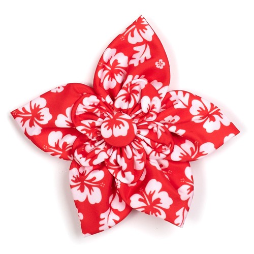 Aloha Coral Flower    Roxy & Lulu, wooflink, susan lanci, dog clothes, small dog clothes, urban pup, pooch outfitters, dogo, hip doggie, doggie design, small dog dress, pet clotes, dog boutique. pet boutique, bloomingtails dog boutique, dog raincoat, dog rain coat, pet raincoat, dog shampoo, pet shampoo, dog bathrobe, pet bathrobe, dog carrier, small dog carrier, doggie couture, pet couture, dog football, dog toys, pet toys, dog clothes sale, pet clothes sale, shop local, pet store, dog store, dog chews, pet chews, worthy dog, dog bandana, pet bandana, dog halloween, pet halloween, dog holiday, pet holiday, dog teepee, custom dog clothes, pet pjs, dog pjs, pet pajamas, dog pajamas,dog sweater, pet sweater, dog hat, fabdog, fab dog, dog puffer coat, dog winter ja