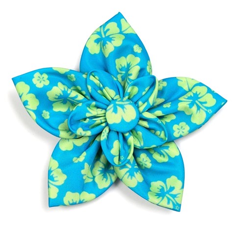 Aloha Turquoise Flower    Roxy & Lulu, wooflink, susan lanci, dog clothes, small dog clothes, urban pup, pooch outfitters, dogo, hip doggie, doggie design, small dog dress, pet clotes, dog boutique. pet boutique, bloomingtails dog boutique, dog raincoat, dog rain coat, pet raincoat, dog shampoo, pet shampoo, dog bathrobe, pet bathrobe, dog carrier, small dog carrier, doggie couture, pet couture, dog football, dog toys, pet toys, dog clothes sale, pet clothes sale, shop local, pet store, dog store, dog chews, pet chews, worthy dog, dog bandana, pet bandana, dog halloween, pet halloween, dog holiday, pet holiday, dog teepee, custom dog clothes, pet pjs, dog pjs, pet pajamas, dog pajamas,dog sweater, pet sweater, dog hat, fabdog, fab dog, dog puffer coat, dog winter ja