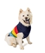 Alpaca Good Vibes Dog Sweater - cd-goodvibes-sweater
