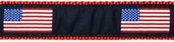 American Flag Collar, Lead & Harness 3/4 inch  wooflink, susan lanci, dog clothes, small dog clothes, urban pup, pooch outfitters, dogo, hip doggie, doggie design, small dog dress, pet clotes, dog boutique. pet boutique, bloomingtails dog boutique, dog raincoat, dog rain coat, pet raincoat, dog shampoo, pet shampoo, dog bathrobe, pet bathrobe, dog carrier, small dog carrier, doggie couture, pet couture, dog football, dog toys, pet toys, dog clothes sale, pet clothes sale, shop local, pet store, dog store, dog chews, pet chews, worthy dog, dog bandana, pet bandana, dog halloween, pet halloween, dog holiday, pet holiday, dog teepee, custom dog clothes, pet pjs, dog pjs, pet pajamas, dog pajamas,dog sweater, pet sweater, dog hat, fabdog, fab dog, dog puffer coat, dog winter jacket, dog col
