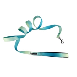 American River Ombre Leash - Aruba Blue    wooflink, susan lanci, dog clothes, small dog clothes, urban pup, pooch outfitters, dogo, hip doggie, doggie design, small dog dress, pet clotes, dog boutique. pet boutique, bloomingtails dog boutique, dog raincoat, dog rain coat, pet raincoat, dog shampoo, pet shampoo, dog bathrobe, pet bathrobe, dog carrier, small dog carrier, doggie couture, pet couture, dog football, dog toys, pet toys, dog clothes sale, pet clothes sale, shop local, pet store, dog store, dog chews, pet chews, worthy dog, dog bandana, pet bandana, dog halloween, pet halloween, dog holiday, pet holiday, dog teepee, custom dog clothes, pet pjs, dog pjs, pet pajamas, dog pajamas,dog sweater, pet sweater, dog hat, fabdog, fab dog, dog puffer coat, dog winter jacket, dog col