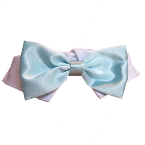 Aqua Satin Dog Tie Set Susan Sanfords School of Dance via thestudiodirector.biz  11:14 AM (1 hour ago) to me  I am completing purchasing all costumes today.  Many people have not put money on the costume account and therefore will not have a costume ordered.  If this applys to you.......Please email me ASAP  so I can include you in the order.  Once the order is placed it will become a great deal more expensive to order individual costumes.  Thank you,