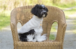 Arbutus Fleecey in 4 Fabulous Colors Roxy & Lulu, wooflink, susan lanci, dog clothes, small dog clothes, urban pup, pooch outfitters, dogo, hip doggie, doggie design, small dog dress, pet clotes, dog boutique. pet boutique, bloomingtails dog boutique, dog raincoat, dog rain coat, pet raincoat, dog shampoo, pet shampoo, dog bathrobe, pet bathrobe, dog carrier, small dog carrier, doggie couture, pet couture, dog football, dog toys, pet toys, dog clothes sale, pet clothes sale, shop local, pet store, dog store, dog chews, pet chews, worthy dog, dog bandana, pet bandana, dog halloween, pet halloween, dog holiday, pet holiday, dog teepee, custom dog clothes, pet pjs, dog pjs, pet pajamas, dog pajamas,dog sweater, pet sweater, dog hat, fabdog, fab dog, dog puffer coat, dog winter ja