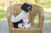 Arbutus Fleecey in 4 Fabulous Colors - eco-fleeceyarb