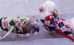 Argyle Dog Hoodies-various colors! - gby-argyle-hoodieR-4KP