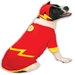 Authentic Flash Costume  - rub-flashS-Q2R