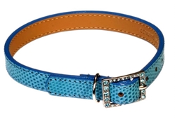 Azure Blue Lizard Dog Collar with Swarovski Crystal Buckle wooflink, susan lanci, dog clothes, small dog clothes, urban pup, pooch outfitters, dogo, hip doggie, doggie design, small dog dress, pet clotes, dog boutique. pet boutique, bloomingtails dog boutique, dog raincoat, dog rain coat, pet raincoat, dog shampoo, pet shampoo, dog bathrobe, pet bathrobe, dog carrier, small dog carrier, doggie couture, pet couture, dog football, dog toys, pet toys, dog clothes sale, pet clothes sale, shop local, pet store, dog store, dog chews, pet chews, worthy dog, dog bandana, pet bandana, dog halloween, pet halloween, dog holiday, pet holiday, dog teepee, custom dog clothes, pet pjs, dog pjs, pet pajamas, dog pajamas,dog sweater, pet sweater, dog hat, fabdog, fab dog, dog puffer coat, dog winter jacket, dog col