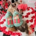 BB Gift Box Turtleneck by Wooflink - wf-bbgift