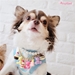 BB Loves Cupcake Dog Necklace by Wooflink - wf-bblovescupcakeneck