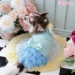 Baby Bling BB - wf-babyblingbb