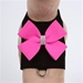 Bailey Harness with Nouveau  Bow in Many Colors by Susan Lanci - sl-bailnouv