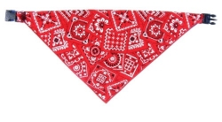 Bandana Dog Collars-Red Bandanna wooflink, susan lanci, dog clothes, small dog clothes, urban pup, pooch outfitters, dogo, hip doggie, doggie design, small dog dress, pet clotes, dog boutique. pet boutique, bloomingtails dog boutique, dog raincoat, dog rain coat, pet raincoat, dog shampoo, pet shampoo, dog bathrobe, pet bathrobe, dog carrier, small dog carrier, doggie couture, pet couture, dog football, dog toys, pet toys, dog clothes sale, pet clothes sale, shop local, pet store, dog store, dog chews, pet chews, worthy dog, dog bandana, pet bandana, dog halloween, pet halloween, dog holiday, pet holiday, dog teepee, custom dog clothes, pet pjs, dog pjs, pet pajamas, dog pajamas,dog sweater, pet sweater, dog hat, fabdog, fab dog, dog puffer coat, dog winter jacket, dog col