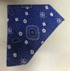 Bandana  Dog Collars - Royal puppy bed,  beds,dog mat, pet mat, puppy mat, fab dog pet sweater, dog swepet clothes, dog clothes, puppy clothes, pet store, dog store, puppy boutique store, dog boutique, pet boutique, puppy boutique, Bloomingtails, dog, small dog clothes, large dog clothes, large dog costumes, small dog costumes, pet stuff, Halloween dog, puppy Halloween, pet Halloween, clothes, dog puppy Halloween, dog sale, pet sale, puppy sale, pet dog tank, pet tank, pet shirt, dog shirt, puppy shirt,puppy tank, I see spot, dog collars, dog leads, pet collar, pet lead,puppy collar, puppy lead, dog toys, pet toys, puppy toy, dog beds, pet beds, puppy bed,  beds,dog mat, pet mat, puppy mat, fab dog pet sweater, dog sweater, dog winter, pet winter,dog raincoat, pet rain