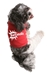 Barkaholic Dog Tank Shirt - rrm-barkaholicRX-HV2
