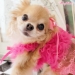 Beautiful, Just Like You Hairbow - wf-beautyhairbow