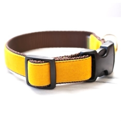 Belle Mustard Yellow Velvet Dog Collar & Lead Roxy & Lulu, wooflink, susan lanci, dog clothes, small dog clothes, urban pup, pooch outfitters, dogo, hip doggie, doggie design, small dog dress, pet clotes, dog boutique. pet boutique, bloomingtails dog boutique, dog raincoat, dog rain coat, pet raincoat, dog shampoo, pet shampoo, dog bathrobe, pet bathrobe, dog carrier, small dog carrier, doggie couture, pet couture, dog football, dog toys, pet toys, dog clothes sale, pet clothes sale, shop local, pet store, dog store, dog chews, pet chews, worthy dog, dog bandana, pet bandana, dog halloween, pet halloween, dog holiday, pet holiday, dog teepee, custom dog clothes, pet pjs, dog pjs, pet pajamas, dog pajamas,dog sweater, pet sweater, dog hat, fabdog, fab dog, dog puffer coat, dog winter ja