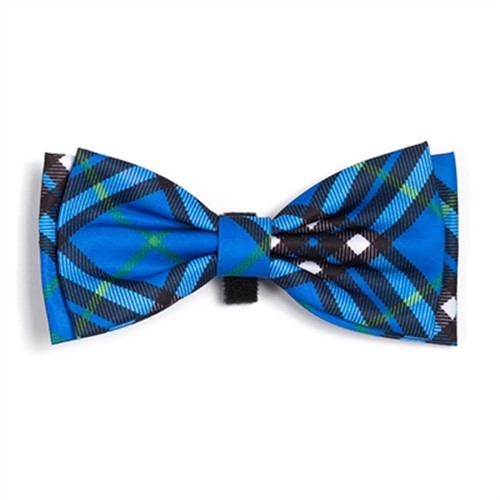 Bias Plaid Bow Tie  pet clothes, dog clothes, puppy clothes, pet store, dog store, puppy boutique store, dog boutique, pet boutique, puppy boutique, Bloomingtails, dog, small dog clothes, large dog clothes, large dog costumes, small dog costumes, pet stuff, Halloween dog, puppy Halloween, pet Halloween, clothes, dog puppy Halloween, dog sale, pet sale, puppy sale, pet dog tank, pet tank, pet shirt, dog shirt, puppy shirt,puppy tank, I see spot, dog collars, dog leads, pet collar, pet lead,puppy collar, puppy lead, dog toys, pet toys, puppy toy, dog beds, pet beds, puppy bed,  beds,dog mat, pet mat, puppy mat, fab dog pet sweater, dog sweater, dog winter, pet winter,dog raincoat, pet raincoat, dog harness, puppy harness, pet harness, dog collar, dog lead, pet l