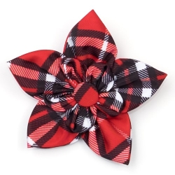 Bias Plaid Red Flower   Roxy & Lulu, wooflink, susan lanci, dog clothes, small dog clothes, urban pup, pooch outfitters, dogo, hip doggie, doggie design, small dog dress, pet clotes, dog boutique. pet boutique, bloomingtails dog boutique, dog raincoat, dog rain coat, pet raincoat, dog shampoo, pet shampoo, dog bathrobe, pet bathrobe, dog carrier, small dog carrier, doggie couture, pet couture, dog football, dog toys, pet toys, dog clothes sale, pet clothes sale, shop local, pet store, dog store, dog chews, pet chews, worthy dog, dog bandana, pet bandana, dog halloween, pet halloween, dog holiday, pet holiday, dog teepee, custom dog clothes, pet pjs, dog pjs, pet pajamas, dog pajamas,dog sweater, pet sweater, dog hat, fabdog, fab dog, dog puffer coat, dog winter ja