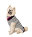 Birdseye Dog Sweater  - cd-birdseye-sweater