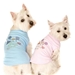 Birthday Pup Dog Tank Shirt - Pink or Blue - HGL-birthdaypupB-VSC