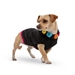 Black Floral Basketweave Hand Knit Dog Sweater  - up-blackfloral-sweater
