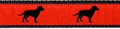 Black Lab Collar, Lead & Harness 3/4 inch  wooflink, susan lanci, dog clothes, small dog clothes, urban pup, pooch outfitters, dogo, hip doggie, doggie design, small dog dress, pet clotes, dog boutique. pet boutique, bloomingtails dog boutique, dog raincoat, dog rain coat, pet raincoat, dog shampoo, pet shampoo, dog bathrobe, pet bathrobe, dog carrier, small dog carrier, doggie couture, pet couture, dog football, dog toys, pet toys, dog clothes sale, pet clothes sale, shop local, pet store, dog store, dog chews, pet chews, worthy dog, dog bandana, pet bandana, dog halloween, pet halloween, dog holiday, pet holiday, dog teepee, custom dog clothes, pet pjs, dog pjs, pet pajamas, dog pajamas,dog sweater, pet sweater, dog hat, fabdog, fab dog, dog puffer coat, dog winter jacket, dog col
