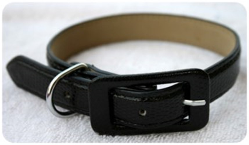 Black Licorice Candy Collar wooflink, susan lanci, dog clothes, small dog clothes, urban pup, pooch outfitters, dogo, hip doggie, doggie design, small dog dress, pet clotes, dog boutique. pet boutique, bloomingtails dog boutique, dog raincoat, dog rain coat, pet raincoat, dog shampoo, pet shampoo, dog bathrobe, pet bathrobe, dog carrier, small dog carrier, doggie couture, pet couture, dog football, dog toys, pet toys, dog clothes sale, pet clothes sale, shop local, pet store, dog store, dog chews, pet chews, worthy dog, dog bandana, pet bandana, dog halloween, pet halloween, dog holiday, pet holiday, dog teepee, custom dog clothes, pet pjs, dog pjs, pet pajamas, dog pajamas,dog sweater, pet sweater, dog hat, fabdog, fab dog, dog puffer coat, dog winter jacket, dog col